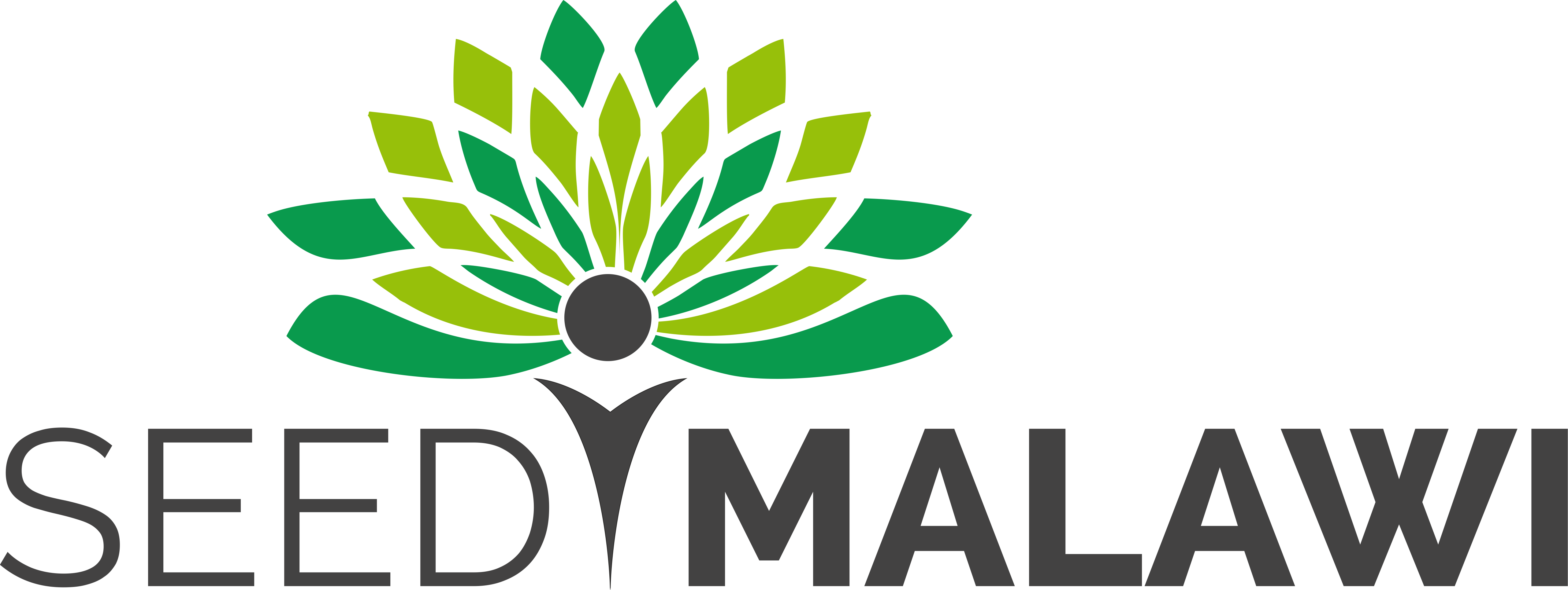 SEED Malawi
