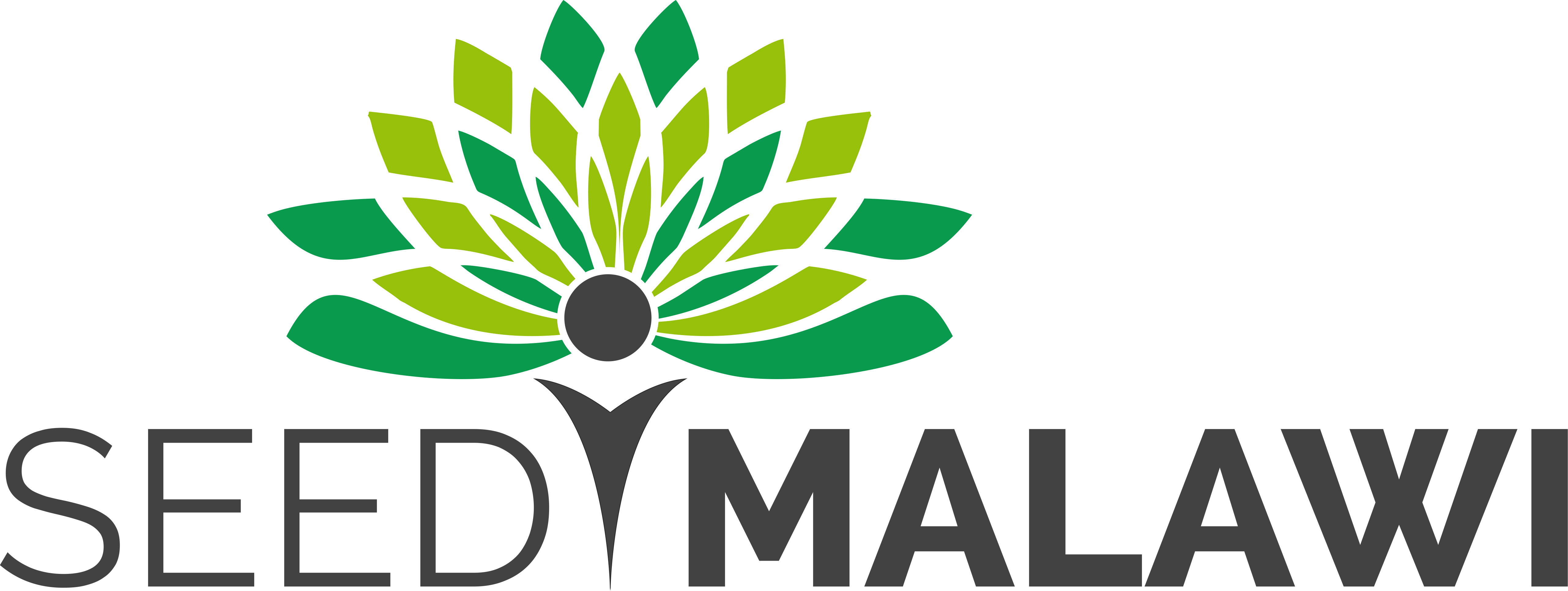 Students for Education Empowerment and Development Malawi logo